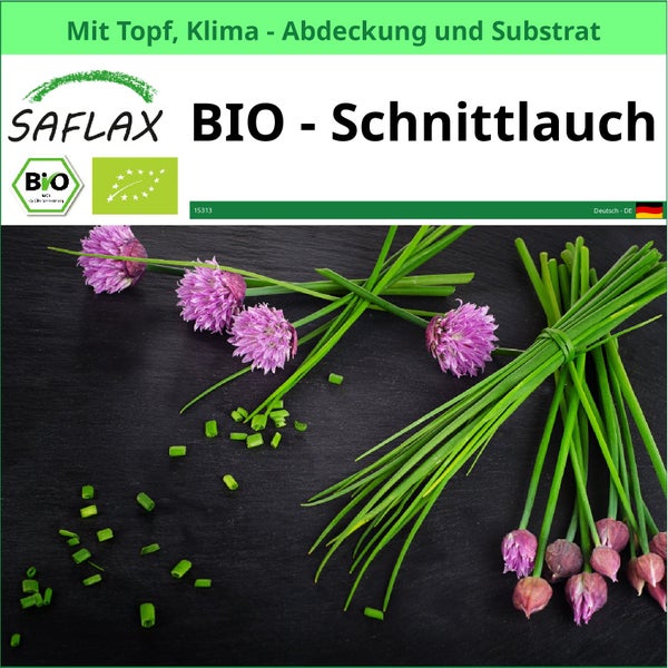 Bio-Schnittlauch mit Topf, Klimaabdeckung und Substrat von Saflax