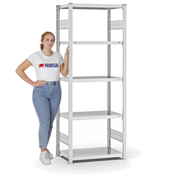 PROREGAL Fachbodenregal Stecksystem T-Profil Light-Duty Grundregal HxBxT 200 x 75 x 40 cm 5 Ebenen Fachlast 145 kg Beidseitig Nutzbar Lichtgrau
