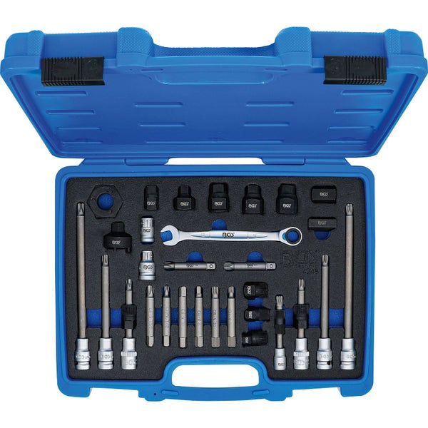 Bosch Fächerschleifscheibe, 10 Stück