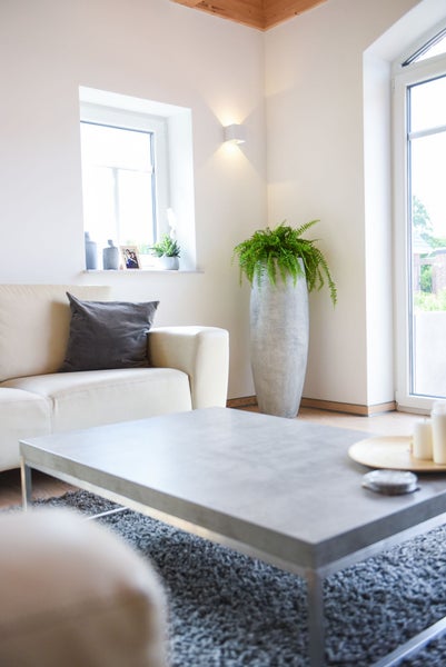 Helles modernes Wohnzimmer mit Couchtisch in Betonoptik, weißem Sofa, hohem Pflanzkübel und grauem Hochflorteppich.