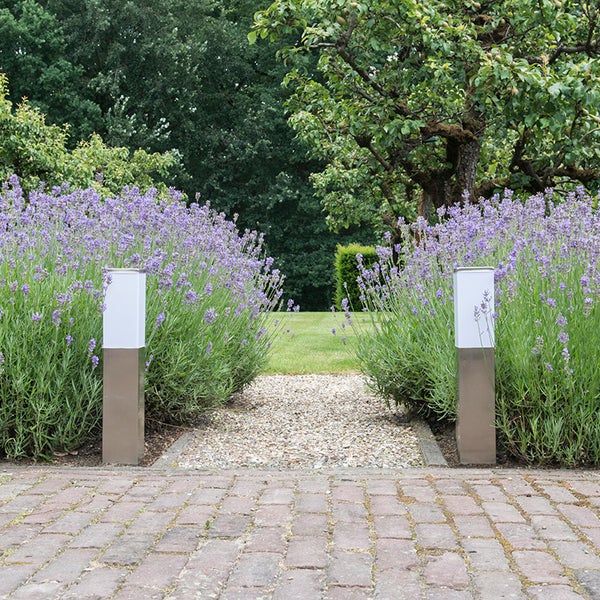 Zwei rechteckige Sockelleuchten aus Edelstahl an einem Kiesweg zwischen Lavendel in einem hellen Garten mit Bäumen und Rasen.