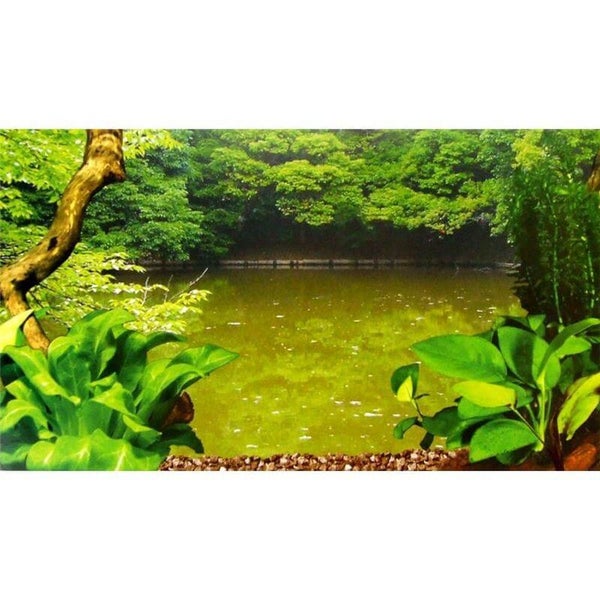 Schildkröten Terrarium Insel Aquarium Becken Heim Wasserschildkröten Kunststoff