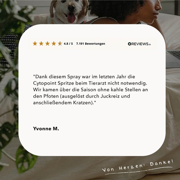 Deckenleuchte mit Lampenschirm aus Rattan