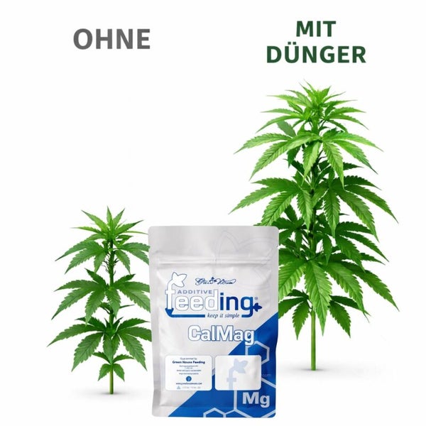 Green House Feeding CalMag Dünger Additiv im Beutel neben zwei Cannabispflanzen im Größenvergleich mit und ohne Dünger