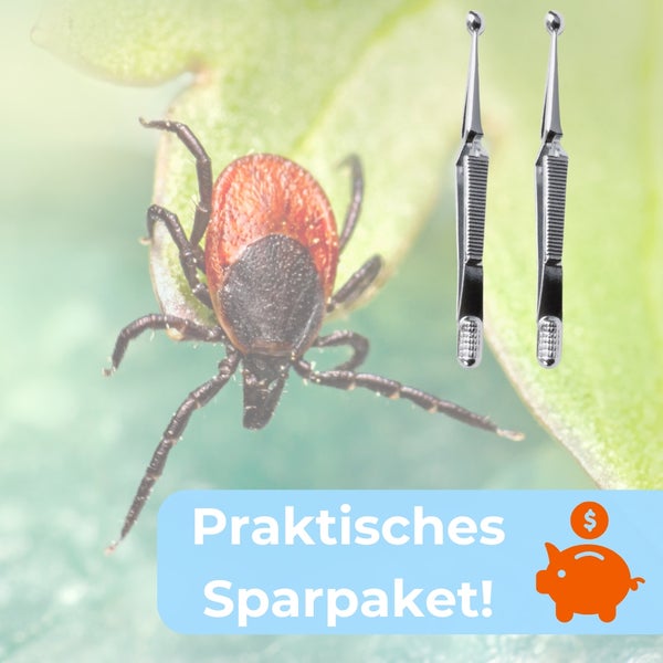 Zecke und zwei Zeckenpinzetten im praktischen Sparpaket