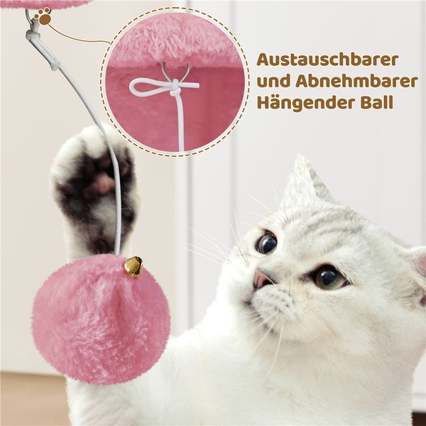 Katze spielt mit einem abnehmbaren Hängeball.