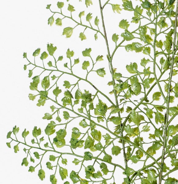 Grüner künstlicher Pflanzenzweig mit kleinen Blättern aus Kunststoff.