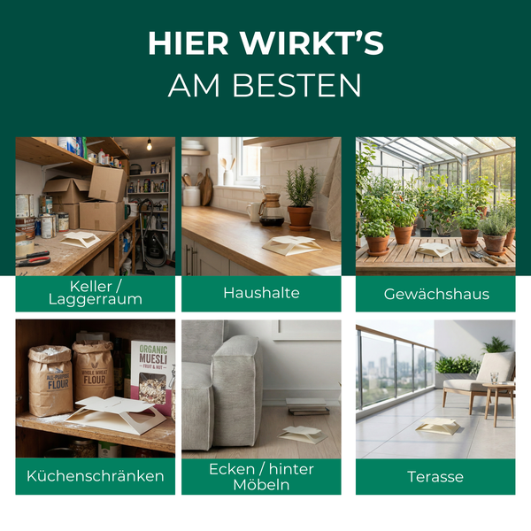 Anwendungsbereiche für Insektenfalle: Keller, Lagerraum, Haushalte, Gewächshaus, Küchenschränke, Ecken hinter Möbeln und Terrasse.