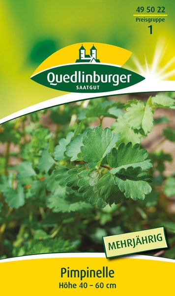 Samentüte Pimpinelle von Quedlinburger Saatgut mit Quedlinburger Logo, mehrjährig, Wuchshöhe 40 bis 60 Zentimeter.