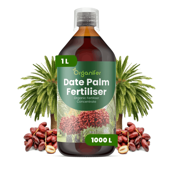 Organifer Dattelpalmen-Dünger, organisches Düngerkonzentrat, 1 Liter Flasche.