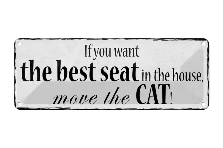 Blechschild Spruch 27x10cm if you want best seat move Cat Dekoration