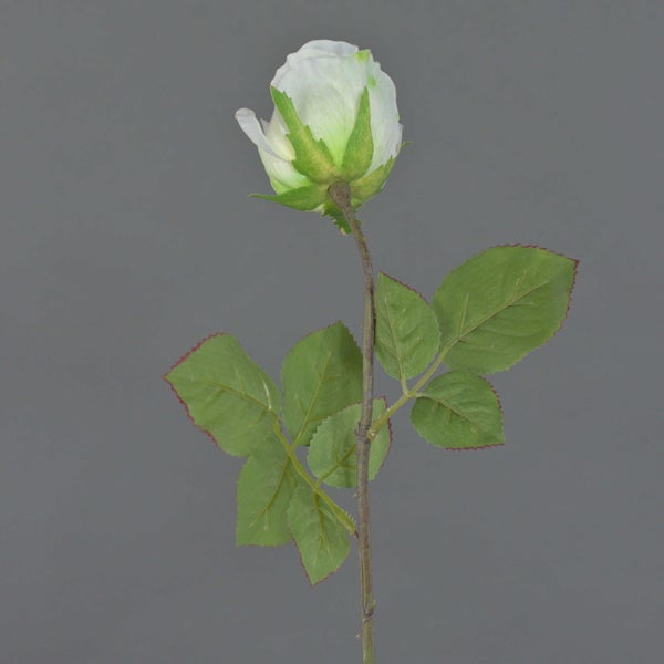 Nahaufnahme eines künstlichen Geweihfarns mit charakteristischen gegabelten grünen Blättern und samtiger Textur.