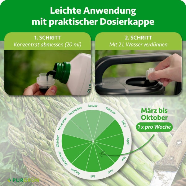 Anleitung für Dünger mit Dosierkappe: Konzentrat abmessen, mit 2 Liter Wasser verdünnen. Anwendung von März bis Oktober. Purgrün Logo.