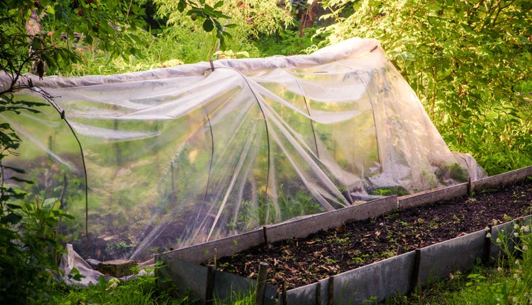 10m Gartenfolie Gewächshausfolie UV 5 Frühbeetfolie Treibhausfolie 4m breit