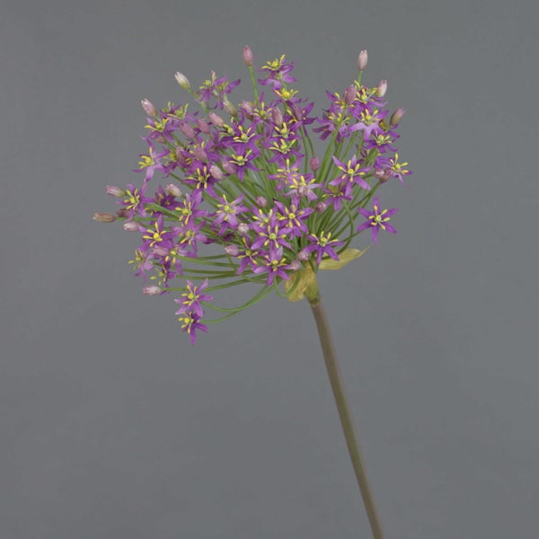 Künstlicher Olivenbaum in schwarzem Topf mit naturgetreuen Blättern und kleinen schwarzen Olivenfrüchten.