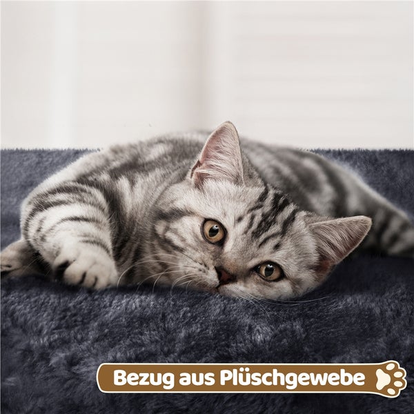 Eine getigerte Katze liegt auf einem Katzenbett mit Plüschbezug