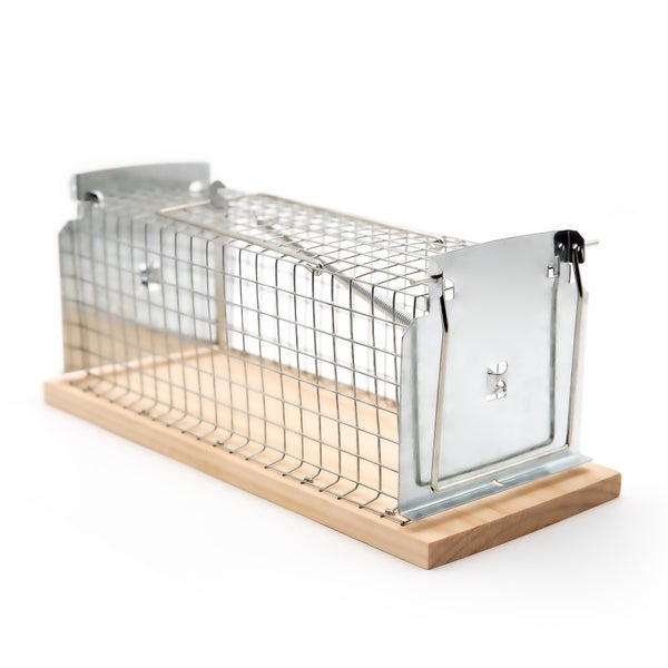Lebendfalle aus Drahtgeflecht mit Holzboden