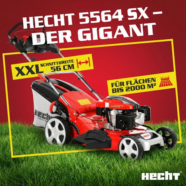 Benzin Rasenmäher Hecht 5564 SX mit einer Schnittbreite von 56 Zentimeter für Flächen bis zu 2000 Quadratmeter.