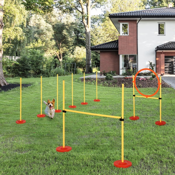 PawHut Agility-Ausrüstung, L128 x B23 x H100 cm, ABS,PE,Polyester, Gelb