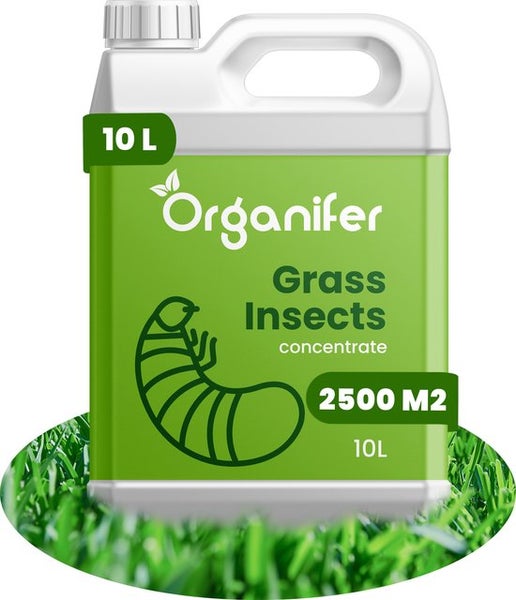 Grasinsekten-Konzentrat - 10 liter für 2.500 m2 - Organifer