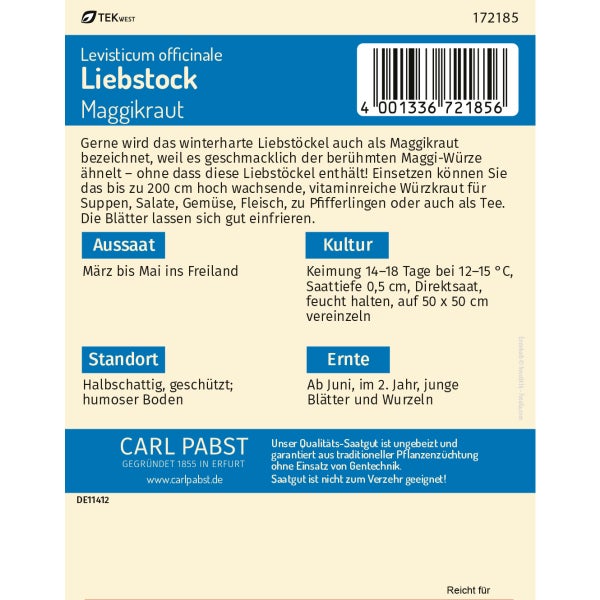 Liebstock Maggikraut Samen von Pabst Keimkraft