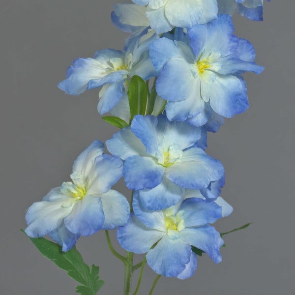 Künstlicher Rittersporn mit blauen und weißen Blüten sowie grünen Blättern.