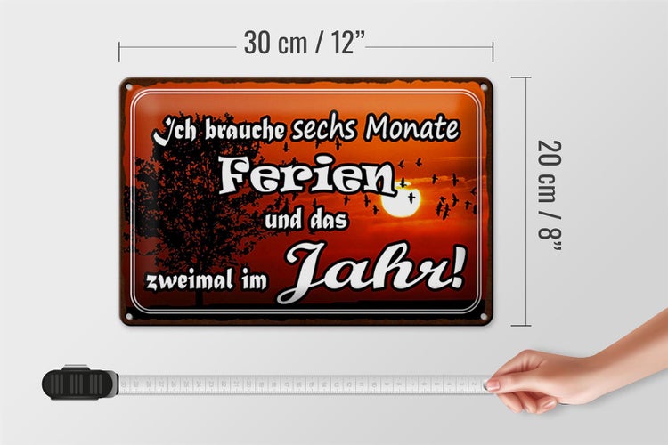 Blechschild Spruch 30x20cm brauche 6 Monate Ferien 2 Mal