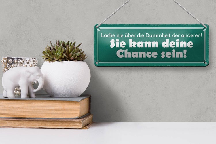 Blechschild Spruch 27x10cm lache nie über die Dummheit der Dekoration