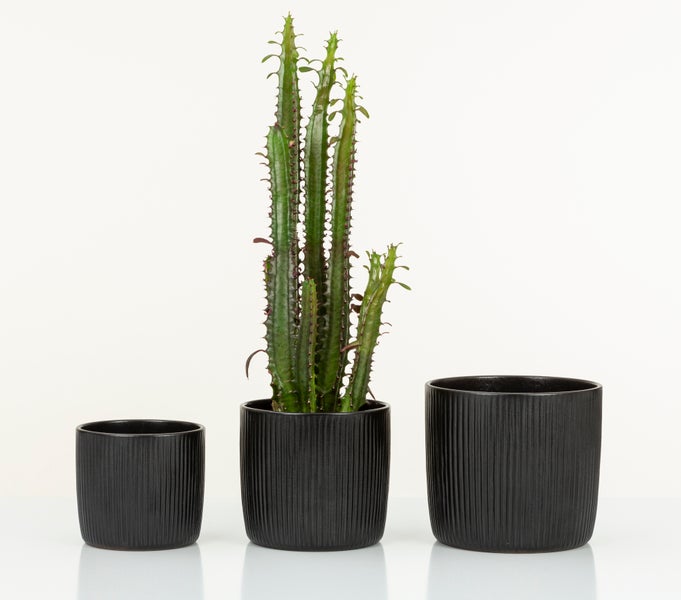 Scheurich Solido Linea, Blumentopf aus Keramik,  Farbe: Ebano, 17,6 cm Durchmesser, 16 cm hoch, 3,1 l Vol.