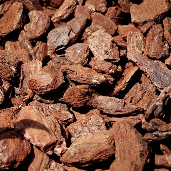 Grobe Pinienrinde zur Bodenabdeckung und Beetgestaltung.