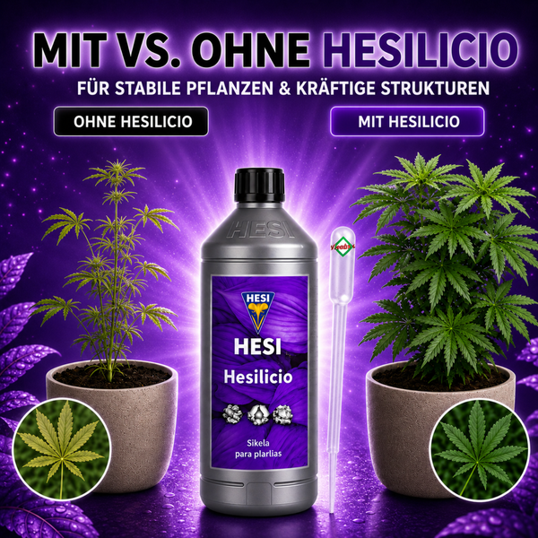 Hesi Hesilicio Pflanzendünger Flasche zum Vergleich von Pflanzenwachstum mit und ohne Siliziumzusatz inklusive Pipette zur Dosierung.