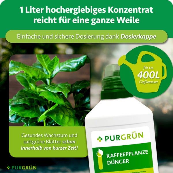 Eine Flasche Purgrün Kaffeepflanze Dünger mit Dosierkappe und Abbildung einer Kaffeepflanze für gesundes Wachstum.