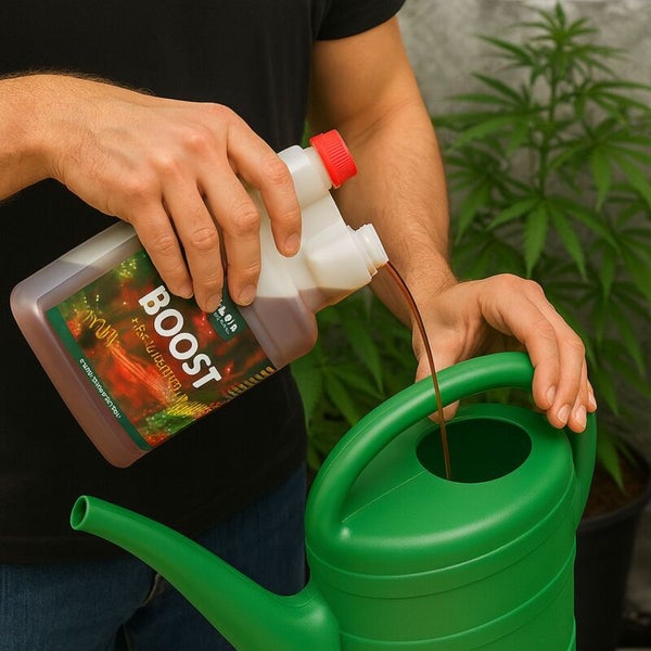 Person gießt Pflanzendünger aus einer Kunststoffflasche mit der Aufschrift Boost in eine grüne Gießkanne für die Pflanzenpflege.