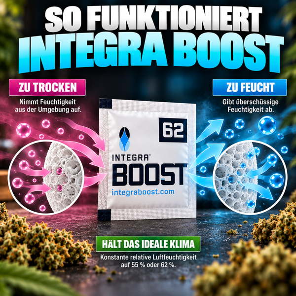 Infografik zur Funktionsweise des Integra Boost Feuchtigkeitsregulators für eine konstante Luftfeuchtigkeit in der Lagerung von Pflanzenmaterial.