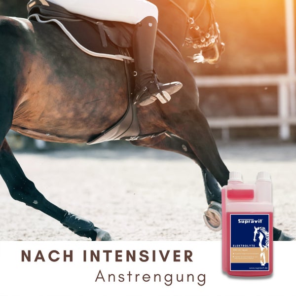 Supravit Elektrolyte 1000 ml Liquid für Pferde nach intensiver Anstrengung
