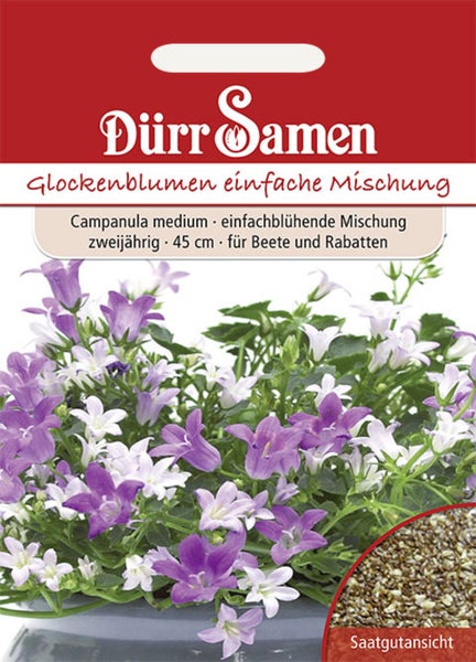 Samenpackung Glockenblumen Campanula medium, einfache Mischung, zweijährig, Höhe 45 Zentimeter, violette und weiße Blüten, Dürr Samen Logo.