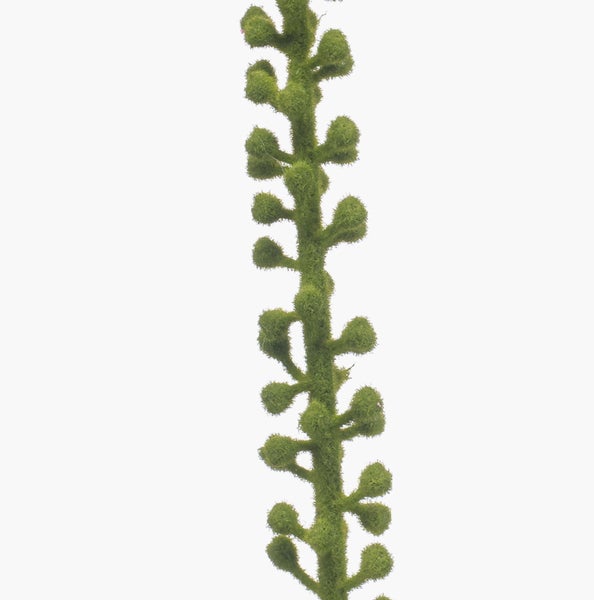 Künstlicher Fittonia-Busch mit grün-weiß gemusterten Blättern und Kunststoffstiel.