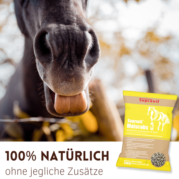 Pferdekopf im Vordergrund mit einer Packung Supravit Maiscobs Pferdefutter im Hintergrund