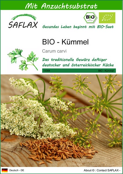 SAFLAX  - BIO - Kümmel - Carum carvi - 800 Samen - Mit keimfreiem Anzuchtsubstrat