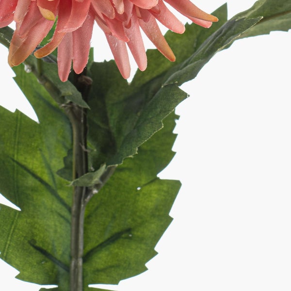 Detailaufnahme eines grünen Pflanzenstiels mit mehreren schmalen Blättern.