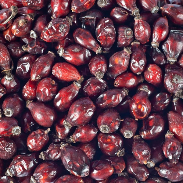 Nahaufnahme getrockneter Hagebutten