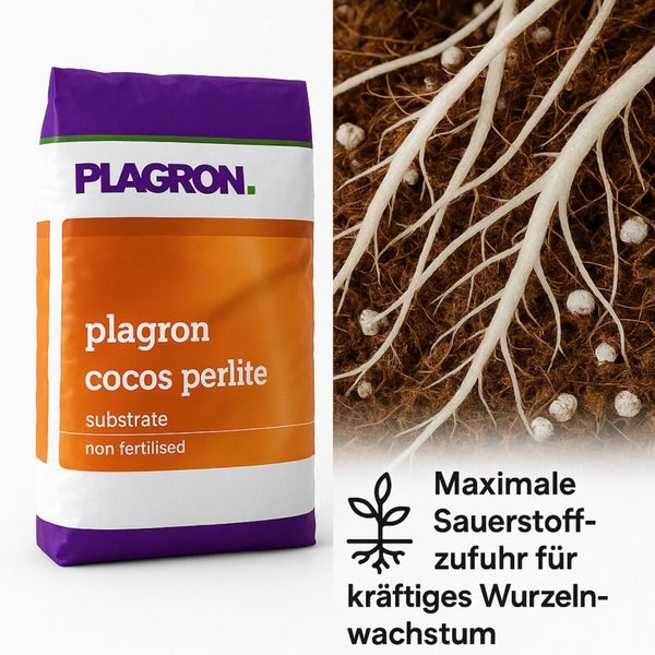 Plagron Cocos Perlite Substrat, ungedüngt, Beutel neben Nahaufnahme von Wurzeln in Erde mit Perlit für maximale Sauerstoffzufuhr.