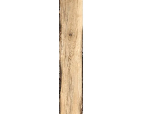 Wand- und Bodenfliese Blade natur clair 24x120cm