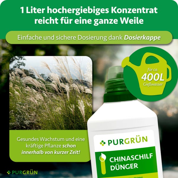 PURGRÜN Chinaschilf Dünger Konzentrat 1 Liter Flasche mit Dosierkappe für 400 Liter Gießwasser für gesundes Pflanzenwachstum.