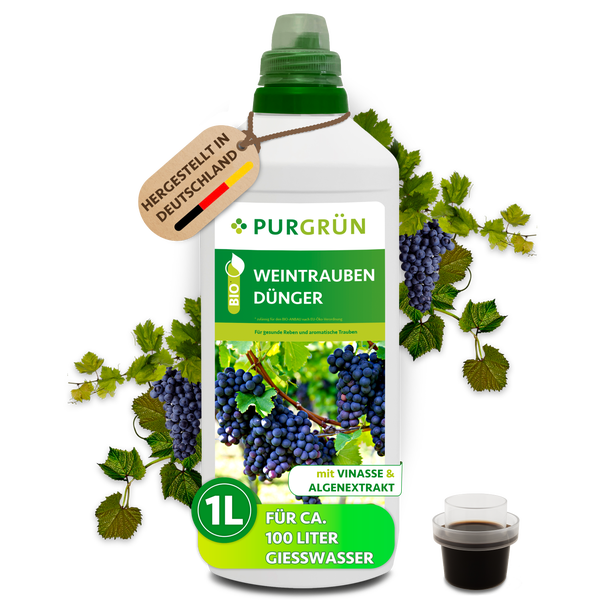 Eine Flasche Purgrün Weintraubendünger mit einem Liter Inhalt, geeignet für circa 100 Liter Gießwasser mit Vinasse und Algenextrakt.