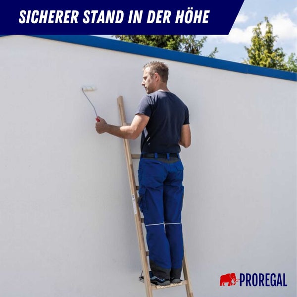 PROREGAL Sprossen-Anlegeleiter Holz Ohne Traverse 12 Sprossen