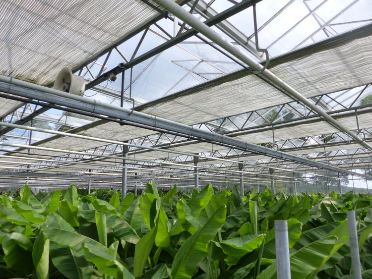 Werkbank mit Ablagen und Holzplatte