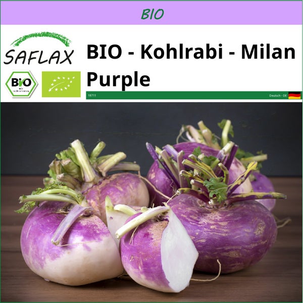 SAFLAX  - BIO - Kohlrabi - Milan Purple - Brassica rapa - 600 Samen