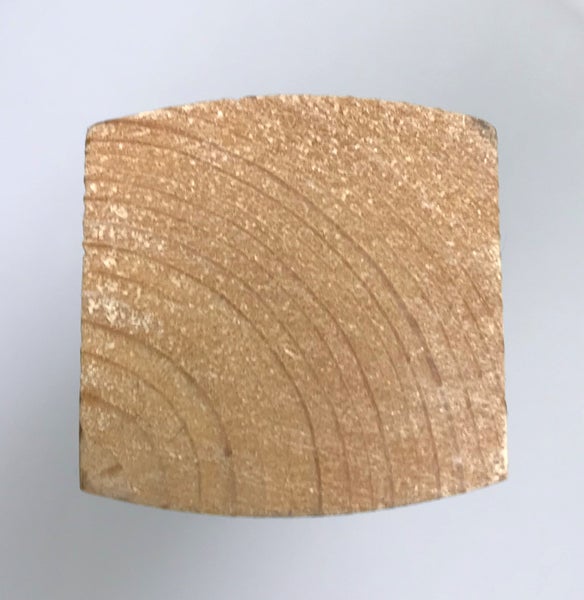 Querschnitt eines Holzpfostens mit sichtbaren Jahresringen