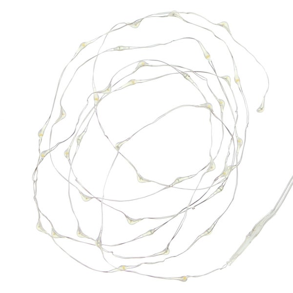 FRANK FLECHTWAREN | LED-Leuchtdraht Specialeffect, 40 Lichter, KUNSTSTOFF, ca. Gesamtlänge 250 cm, ohne Batterien, für den Außenbereich geeignet